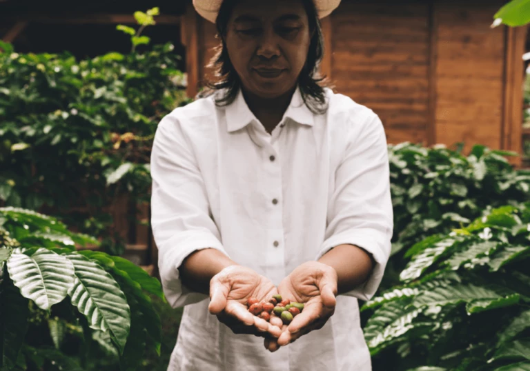 Explorando as riquezas da natureza que o Brasil oferece_ Inspiração para cosméticos naturais